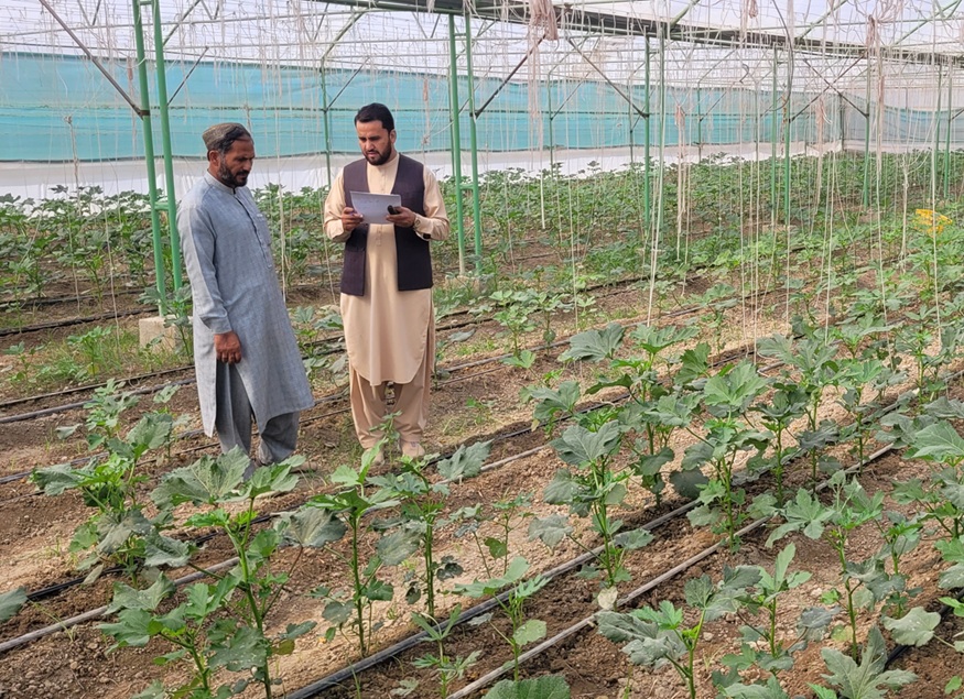 3 JENHO Agriculture Project