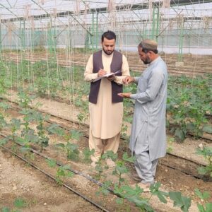 1 JENHO Agriculture Project