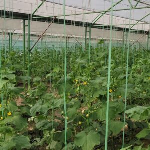 JENHO Agriculture Project